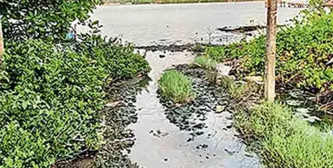 പരിതാപകരം, ജനത ഫെറി: ബോട്ട് സർവീസ് അവസാനിപ്പിച്ചത് 12 വർഷം മുൻപ്