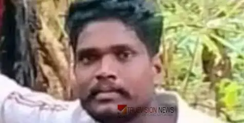 മാങ്ങ പറിക്കുന്നതിനിടെ വൈദ്യുതി ലൈനിൽ ഇരുമ്പുതോട്ടി വീണു; ഷോക്കേറ്റ് യുവാവിന് ദാരുണാന്ത്യം