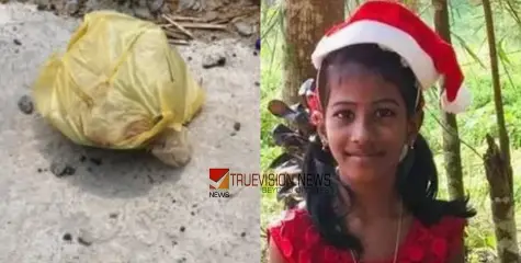 'എന്റെ കുഞ്ഞിനെ കൊന്ന് തിന്നിട്ടും ഇനിയും വേസ്റ്റ് കൊണ്ട് നടക്കുകയാണോ മഹാപാപികളെ...'; നിയയുടെ വീട്ടുപരിസരത്ത് വീണ്ടും മാലിന്യം തള്ളി