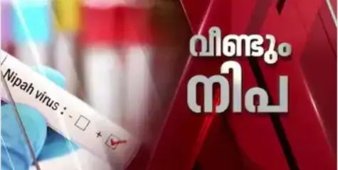 സംസ്ഥാനത്ത് വീണ്ടും നിപ; ചികിത്സയിലായിരുന്ന വളാഞ്ചേരി സ്വദേശിക്ക് രോഗം സ്ഥിരീകരിച്ചു