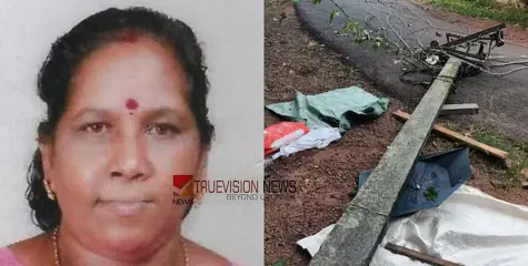 ടൂറിസ്റ്റ് ബസിൽ കേബിൾ കുരുങ്ങി വൈദ്യുത പോസ്റ്റ് ഒടിഞ്ഞുവീണു; തൊഴിലുറപ്പ് തൊഴിലാളിയായ സ്ത്രീക്ക് ദാരുണാന്ത്യം