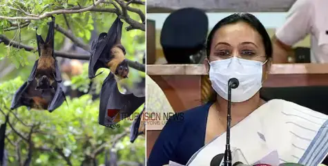 നിപ രോഗി ഗുരുതരാവസ്ഥയിൽ; സമ്പർക്ക പട്ടികയിൽ 49 പേര്‍, റൂട്ട് മാപ്പ് പുറത്തുവിട്ട് ആരോഗ്യ വകുപ്പ്