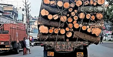 മൂവാറ്റുപുഴ നെഹ്റു പാർക്കിനു സമീപം മീഡിയനിലേക്ക് തടി ലോറി ഇടിച്ചു കയറി 