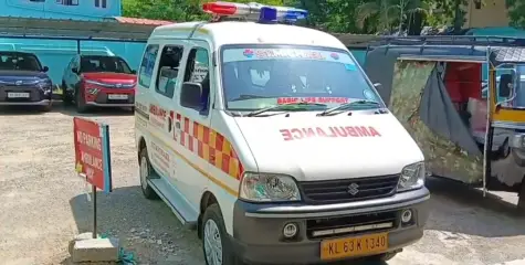 എറണാകുളത്ത് കാട്ടുപന്നി ആക്രമണം; ദമ്പതികൾക്ക് പരിക്ക്