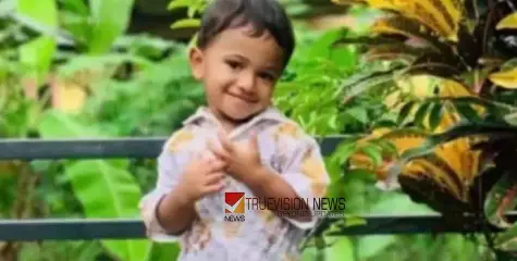 നിർത്തിയിട്ട കാർ ഉരുണ്ടിറങ്ങി ദേഹത്ത് കയറി രണ്ടര വയസ്സുകാരന് ദാരുണാന്ത്യം