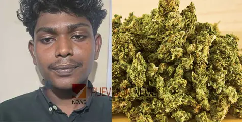  25 ഗ്രാം കഞ്ചാവുമായി നാദാപുരം സ്വദേശിയായ യുവാവ് പിടിയിൽ