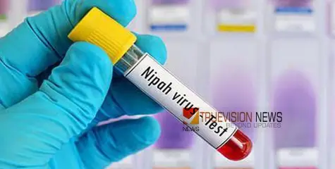നിപ; എട്ട് പേരുടെ പരിശോധനാ ഫലം കൂടി നെഗറ്റീവ്; 37 പേർ പുതുതായി സമ്പര്‍ക്ക പട്ടികയില്‍