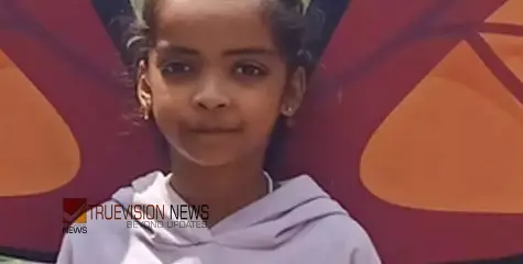 കളിച്ചുകൊണ്ടിരിക്കവെ ദേഹത്ത് മരം ഒടിഞ്ഞു വീണു, രണ്ടാം ക്ലാസുകാരിക്ക് ദാരുണാന്ത്യം 