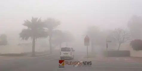 യുഎഇയിൽ മൂടൽ മഞ്ഞിന് സാധ്യത; റെഡ്, യെല്ലോ അലർട്ടുകൾ പുറപ്പെടുവിച്ചു