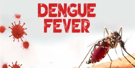കേളകം പഞ്ചായത്തിലെ ഡങ്കിപ്പനി വ്യാപനം: മെഡിക്കൽ ക്യാമ്പുകൾ നടത്തണമെന്ന് നാട്ടുകാർ