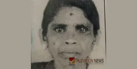 നെല്ലിയുള്ളപ്പറമ്പത് ചീരു അന്തരിച്ചു
