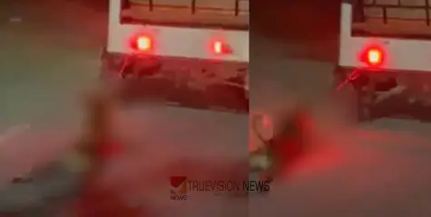 കണ്ണില്ലാത്ത ക്രൂരത, ഓടുന്ന വാഹനത്തിൽ നായയെ കെട്ടിയിട്ട് വലിച്ചിഴച്ചു; ഓട്ടോറിക്ഷ ഡ്രൈവർ അറസ്റ്റിൽ