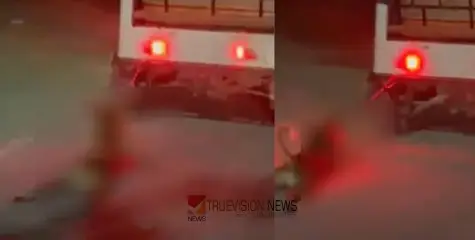 മിണ്ടാപ്രാണിയോട് കൊടും ക്രൂരത ; ഓടുന്ന വാഹനത്തിൽ നായയെ കെട്ടിയിട്ട് വലിച്ചിഴച്ച  ഓട്ടോറിക്ഷ ഡ്രൈവർ അറസ്റ്റിൽ