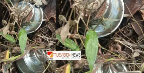 പാനൂരിൽ കണ്ടെത്തിയ  സ്റ്റീൽ ബോംബുകൾ ഉഗ്രസ്ഫോടനശേഷിയുള്ളത്, നിർവീര്യമാക്കി ;    അന്വേഷണം ഊർജിതം