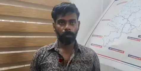 വിവാഹ തട്ടിപ്പ് വീരൻ പിടിയിൽ, കൈക്കലാക്കിയത് ആറരലക്ഷം രൂപയും അഞ്ച് പവൻ സ്വർണ്ണവും
