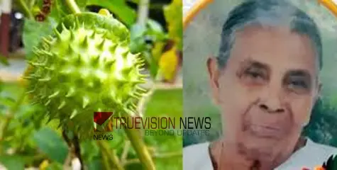  ഉമ്മത്തിൻ കായ കഴിച്ച് വയോധിക മരിച്ചു