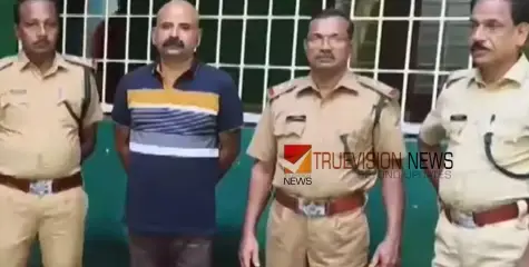 കൊല്ലത്ത് കാട്ടുപന്നിയെ കൊന്ന് കാറിൽ കടത്തി; അഭിഭാഷകൻ പിടിയിൽ 