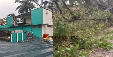 പാലക്കാട് കനത്തമഴ; ഇടിമിന്നലിൽ വ്യാപക നാശനഷ്ടങ്ങൾ