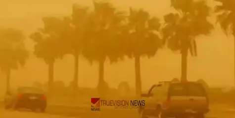 പൊ​ടി​ക്കാ​റ്റ്, മ​ഴ; കുവൈത്തിൽ അ​സ്ഥിര കാ​ലാവസ​ഥ തു​ട​രും