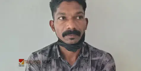 പതിനഞ്ചുകാരിയെ പീഡിപ്പിച്ച് ഗർഭിണിയാക്കിയ കേസ്; പ്രതിക്ക് ഇരട്ട ജീവപര്യന്തവും 43 വർഷം കഠിന തടവും