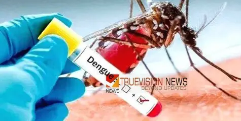 ഡെങ്കിപ്പനി പ്രതിരോധം; തോട്ടം ഉടമകള്‍ക്കെതിരെ നടപടിക്കൊരുങ്ങി ആരോഗ്യവകുപ്പ് 