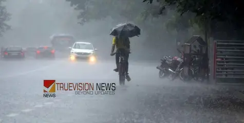 'യ്യോ കുട മറക്കല്ലേ...! മഴ വരുന്നുണ്ട്', ഇന്ന് രണ്ട് ജില്ലകളിൽ യെല്ലോ അലർട്ട്, മുന്നറിയിപ്പ്