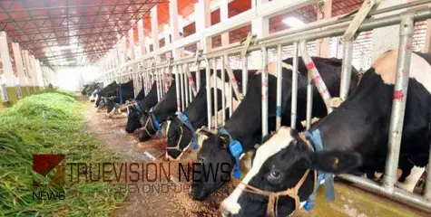 ക്ഷീരദീപം പദ്ധതി: വിദ്യാർഥികൾക്കുള്ള ധനസഹായം ഉയർത്താൻ സർക്കാർ തീരുമാനം