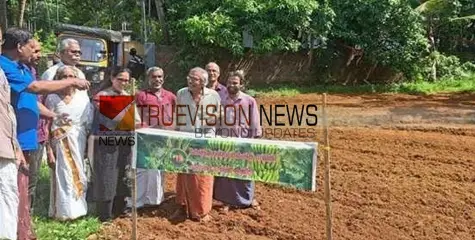മണ്ടോടി വയലിൽ വിത്തെറിഞ്ഞു; നെല്‍കൃഷി പ്രോത്സാഹന പദ്ധതിയുമായി ജൈവകര്‍ഷക സമിതി 