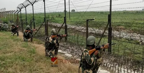 ഓൺലൈനിലൂടെ പരിചയപ്പെട്ടു; പാസ്റ്ററെ കാണാൻ അതിർത്തി കടന്ന് പാകിസ്താനിലെത്തിയ ഇന്ത്യൻ യുവതി കസ്റ്റഡിയിൽ