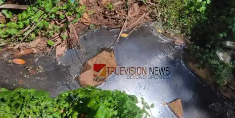 കൊതുക് ശല്യം രൂക്ഷം; പാറയില്‍ തോട്ടില്‍ മാലിന്യമൊഴുകുന്നതായി പരാതി 