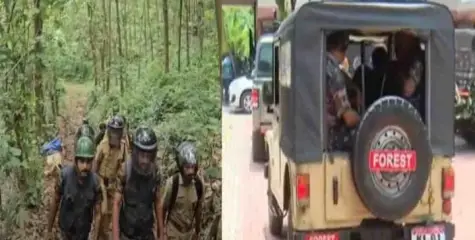 കടുവാ സാന്നിധ്യം മുന്നറിയിപ്പ് നൽകിയിട്ടും അനങ്ങിയില്ല; കാളികാവിൽ വനം വകുപ്പിന്റേത് ഗുരുതര വീഴ്‌ച