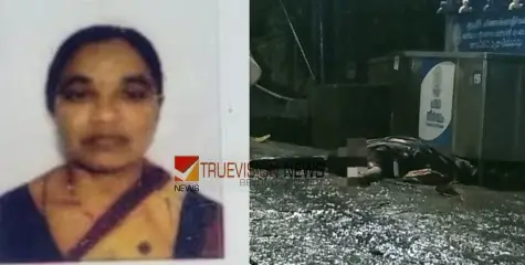 ശബരിമല ദർശനം കഴിഞ്ഞ് മടങ്ങിയ സ്ത്രീ ഷോക്കേറ്റ് മരിച്ചു