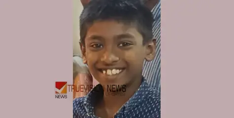കുടുംബത്തോടൊപ്പം മരത്തണലിലിരുന്നു ഭക്ഷണം കഴിക്കുന്നതിനിടെ ശിഖരം ഒടിഞ്ഞു വീണു; പതിമൂന്നുകാരന് ദാരുണാന്ത്യം