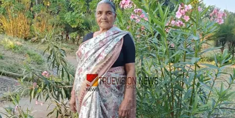 വീണ്ടും ജീവനെടുത്തത് കാട്ടാന; ഉറക്കത്തിനിടെ വീട് തകര്‍ത്ത് ആക്രമണം, വയോധികയ്ക്ക് ദാരുണാന്ത്യം