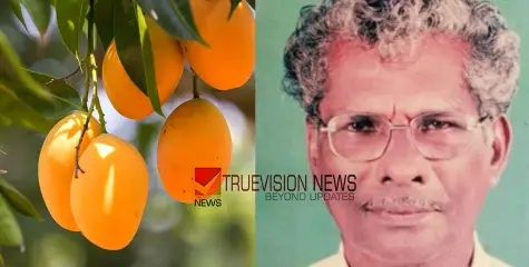 മാങ്ങയുടെ തൊലി തൊണ്ടയിൽ കുടുങ്ങി വയോധികന് ദാരുണാന്ത്യം
