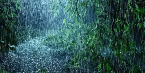 കണ്ണൂർ ജില്ലയിൽ റെഡ് അലർട്;  ഉളിക്കൽ പഞ്ചായത്തിൽ ജാഗ്രത നിർദ്ദേശം