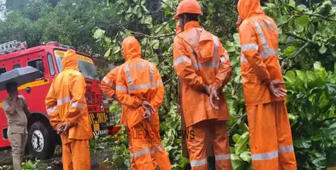 കാറ്റടിച്ച് സമീപത്തെ വൈദ്യുതി പോസ്റ്റിൽ തീ,വീട്ടിലേക്കോടിക്കയറി;  ഏഴാം ക്ലാസുകാരൻ രക്ഷപ്പെട്ടത് തലനാരിഴക്ക്