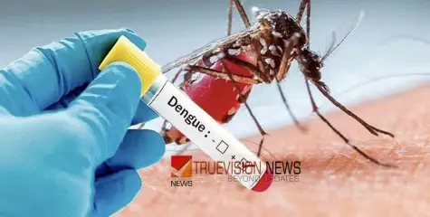 ഡെങ്കിപ്പനി പ്രതിരോധം; വളയം ഗ്രാമ പഞ്ചായത്തിൽ ഇന്റർ സെക്ടർ യോഗം ചേർന്നു