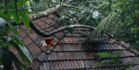 അതിശക്ത മഴ;  കിളിമാനൂരിൽ വീടിനു മുകളിൽ മരം വീണ് മേൽക്കൂര തകർന്നു, കുട്ടികൾ അത്ഭുതകരമായി രക്ഷപ്പെട്ടു