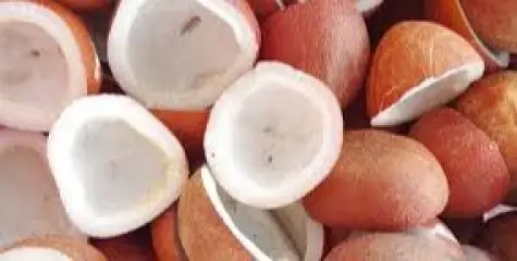 കൊപ്രക്ക് ക്ഷാമം; സംസ്ഥാനത്ത് മൊത്ത മാര്‍ക്കറ്റില്‍ വെളിച്ചെണ്ണ വിലയിൽ വൻ വർധന