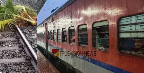  നാദാപുരം റോഡ് റെയിൽവേ ട്രാക്കില്‍ തെങ്ങ് വീണു; കണ്ണൂര്‍ ഭാഗത്തേക്കുള്ള ട്രെയിന്‍ സര്‍വീസുകള്‍ തടസ്സപ്പെട്ടു