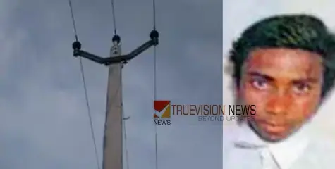 പോസ്റ്റ് മാറ്റുമ്പോൾ മുറിച്ചിട്ട സർവീസ് വയർ ശരീരത്തിൽ വീണു; ഷോക്കേറ്റ്  ഇതര സംസ്ഥാന തൊഴിലാളിക്ക് ദാരുണാന്ത്യം 