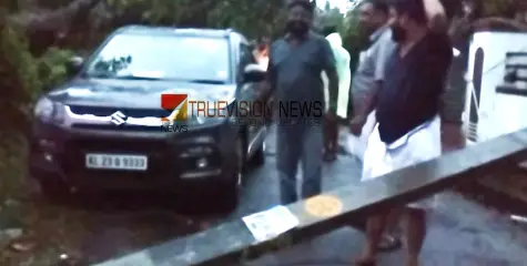 ഒടിഞ്ഞുവീണ വൈദ്യുത പോസ്റ്റിൻ്റെയും കടപുഴകിയ മരത്തിൻ്റെയും ഇടയിൽപ്പെട്ട് കാർ; എം എൽ എയ്ക്ക് തലനാരിഴയ്ക്ക് രക്ഷ