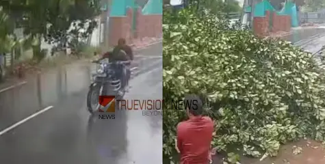 ആയുസിന്റെ ബലം ....; താനൂരിൽ ഓടുന്ന ബൈക്കിന് മുകളിലേക്ക് മരം പൊട്ടി വീണു,  യുവാക്കൾക്ക്  തലനാരിഴയ്ക്ക് രക്ഷ 
