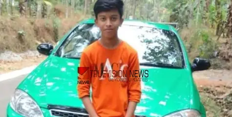 കോഴിക്കോട്ട് നിന്ന് ഊട്ടിയിൽ വിനോദയാത്രയ്ക്കെത്തിയ കുടുംബത്തിലെ വിദ്യാർത്ഥി ദേഹത്ത് പൈയിൻ മരം പൊട്ടിവീണ് മരിച്ചു