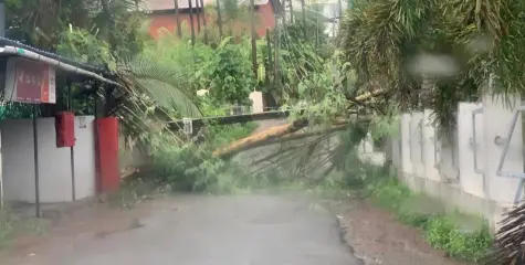 ശക്തിയേറിയ മഴയിൽ തളിപ്പറമ്പിലും സമീപ പ്രദേശങ്ങളിലും നിരവധി നാശനഷ്ടം.