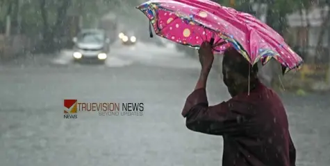 കേരളത്തിൽ  മഴ ശക്തം; മലപ്പുറത്ത് വീടിന് മുകളിൽ മരം വീണു, അപകടം ഒഴിവായത് തലനാരിഴക്ക്, 11 ജില്ലകളിൽ റെഡ് അലേർട്ട്