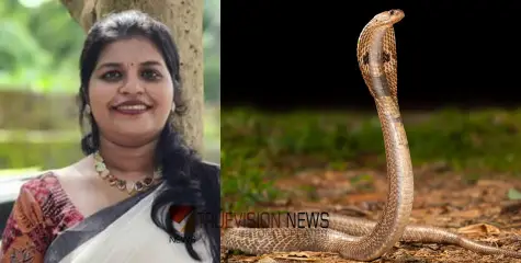 രണ്ടര വയസുള്ള മകന് ചോറ് വാരിക്കൊടുക്കുന്നതിനിടെ പാമ്പ് കടിയേറ്റു; യുവതിക്ക് ദാരുണാന്ത്യം