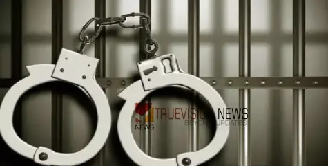 വ്യാജ വൗച്ചറുകളുണ്ടാക്കി പഞ്ചായത്ത് ഫണ്ടിൽ നിന്നും പണം തട്ടി; മുൻ പഞ്ചായത്ത് സെക്രട്ടറിക്ക് ആറ് വർഷം കഠിന തടവ്