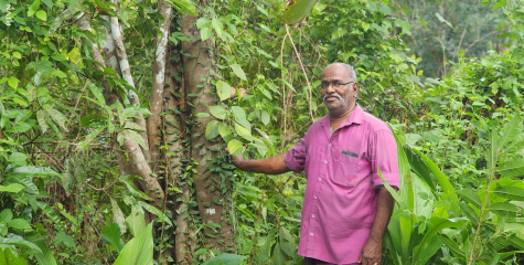 ബാലേട്ടന്റെ മനസ്സിലുണ്ട് മുളച്ചുപൊന്തിയ പ്രകൃതി സ്‌നേഹം 